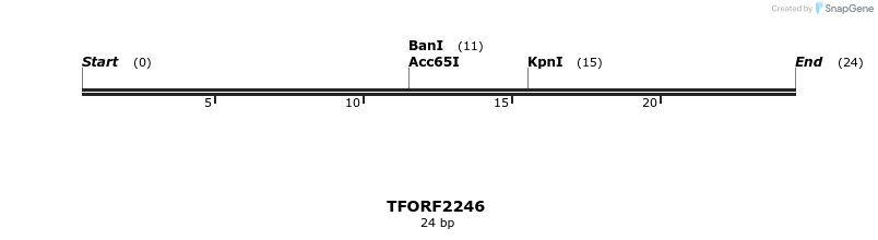 278105_map