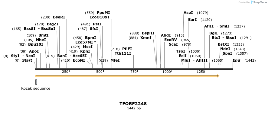 278107_map