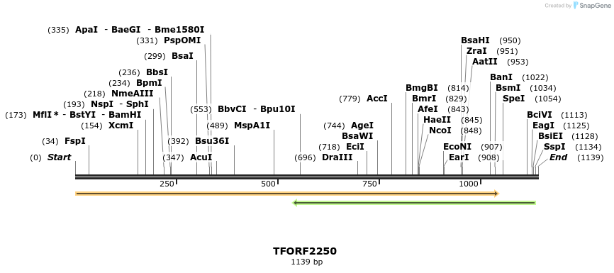 278110_map