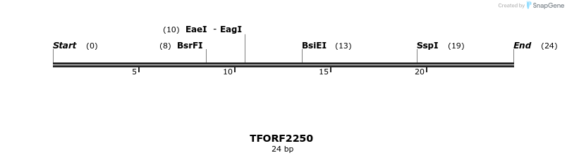 278111_map