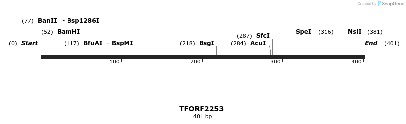 278113_map