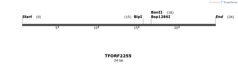 278120_map