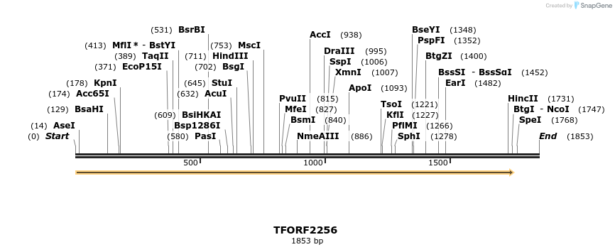 278122_map