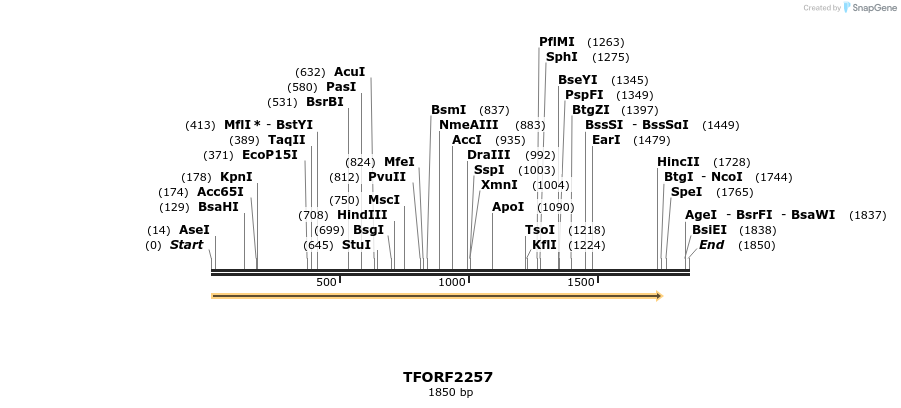 278125_map