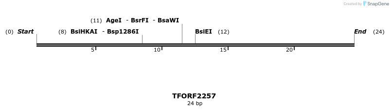 278126_map
