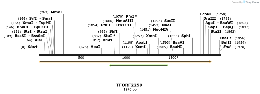 278128_map