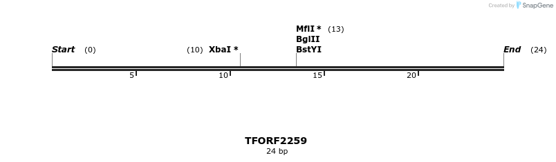 278129_map