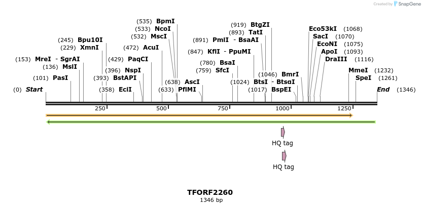 278131_map