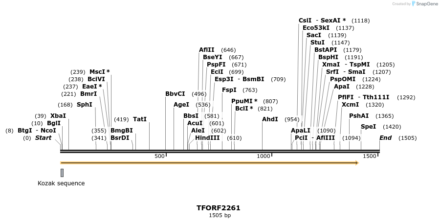 278134_map