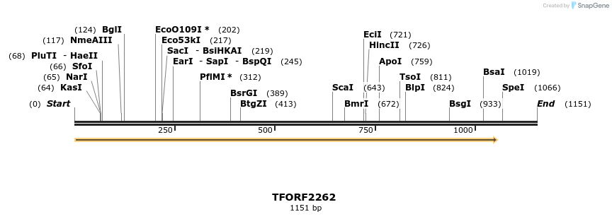 278137_map