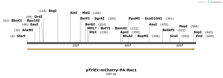27814_map