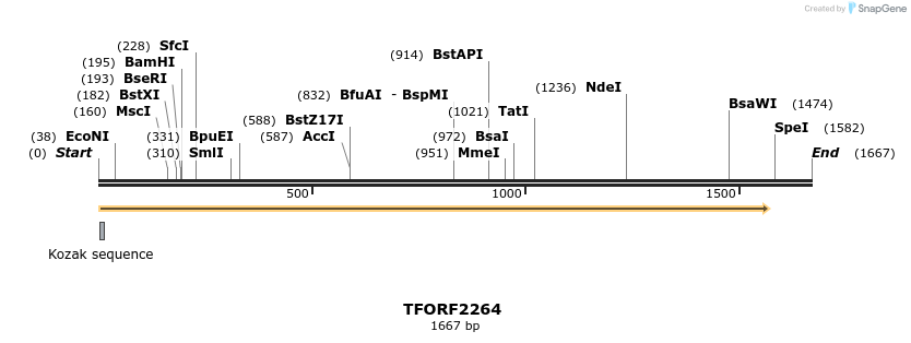 278140_map