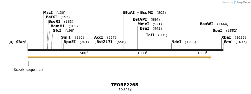 278143_map