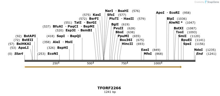 278146_map