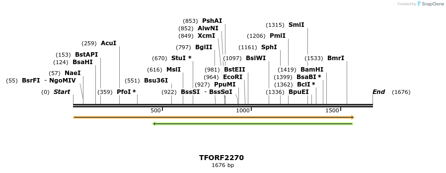 278149_map