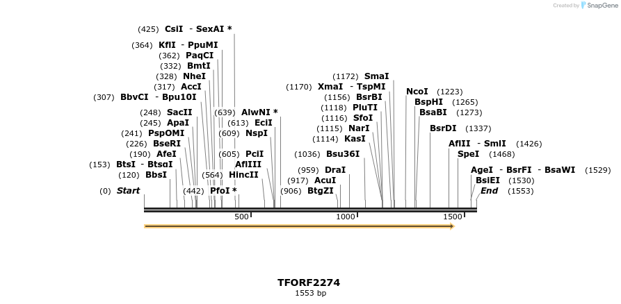 278152_map