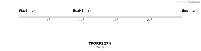 278153_map