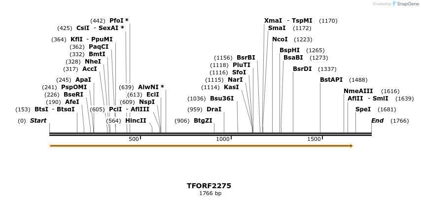 278155_map