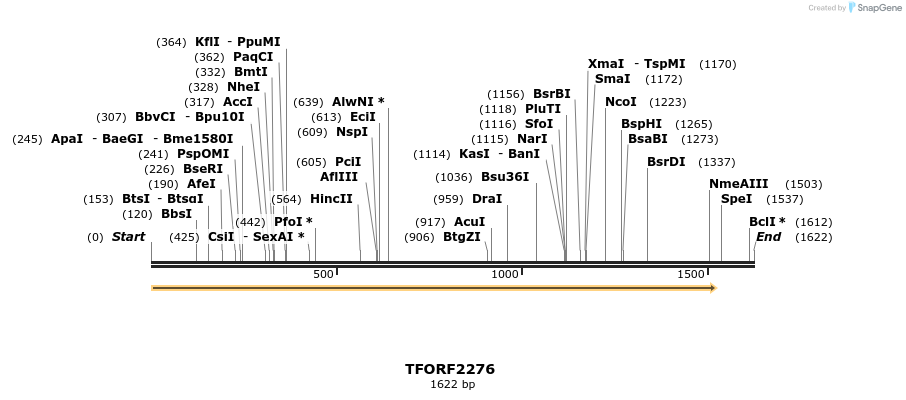 278158_map