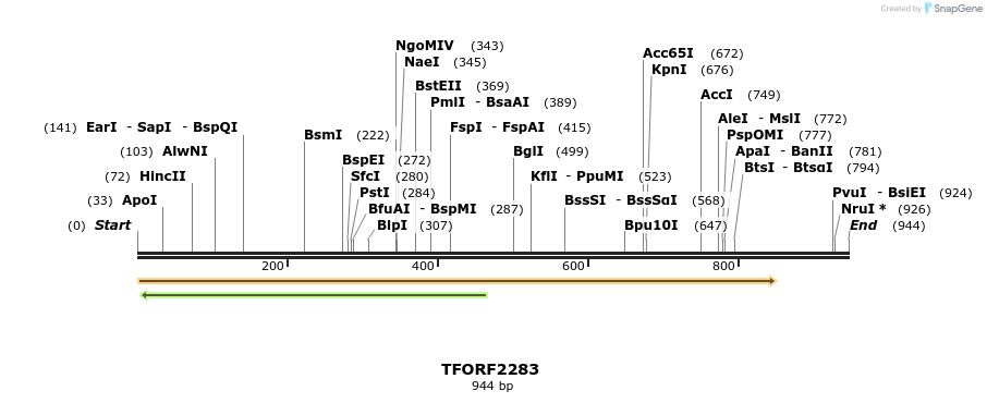 278161_map