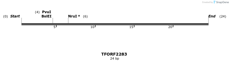 278162_map