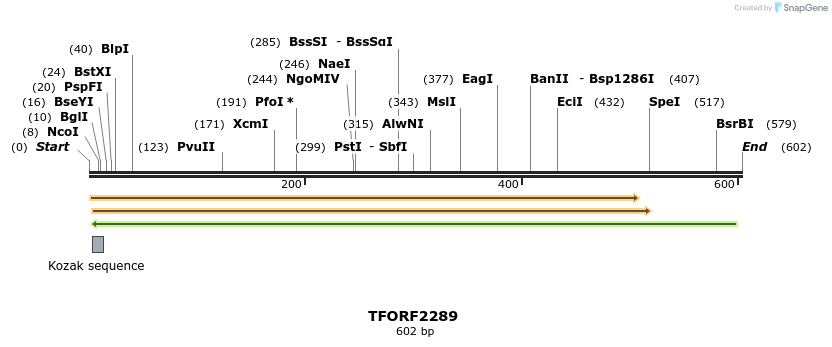 278167_map