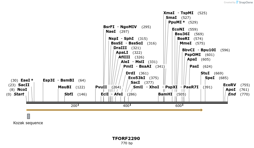 278170_map