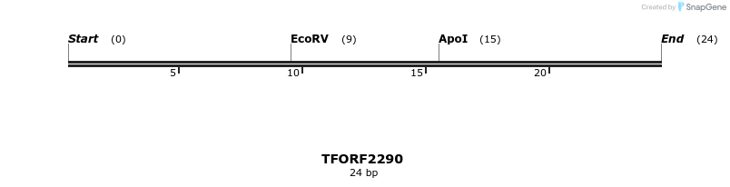 278171_map