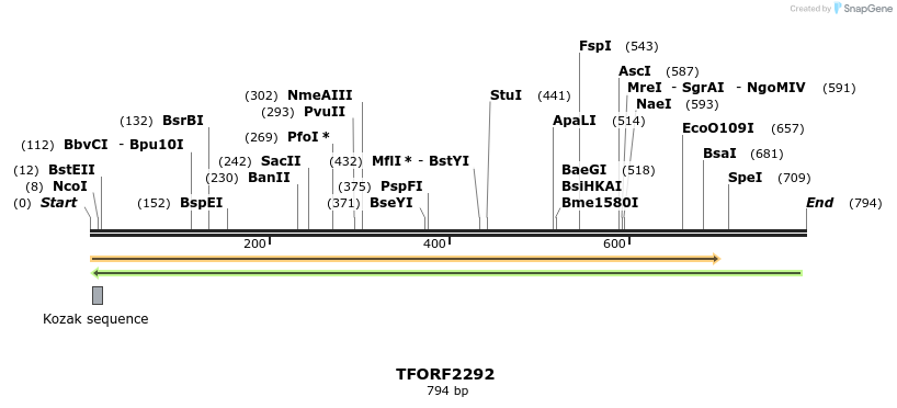 278173_map