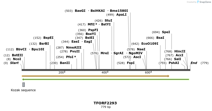 278176_map