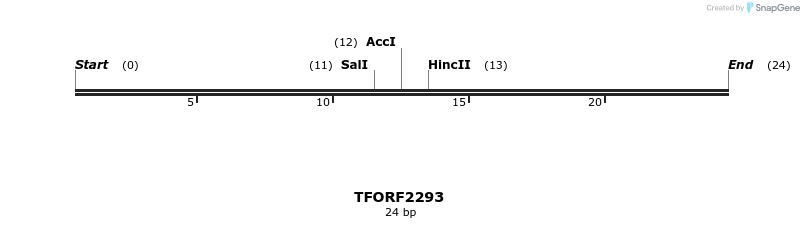 278177_map
