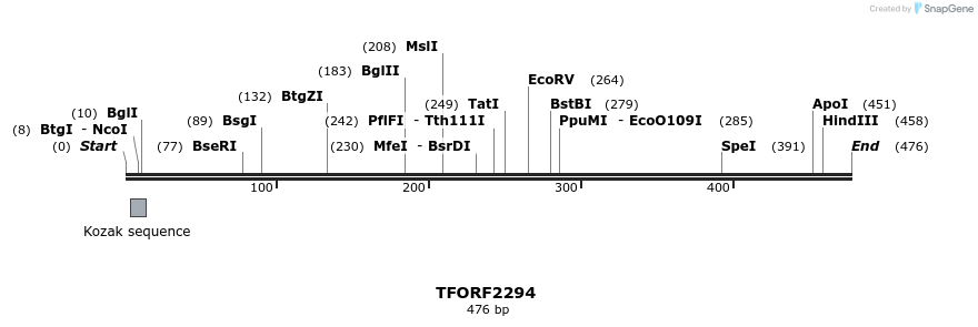 278179_map