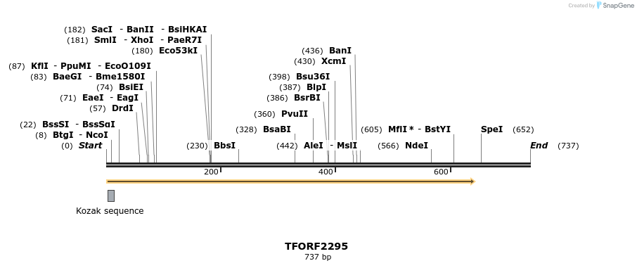 278182_map