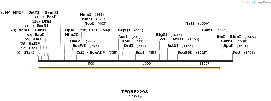 278188_map