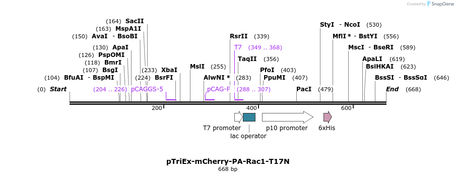 27819_map