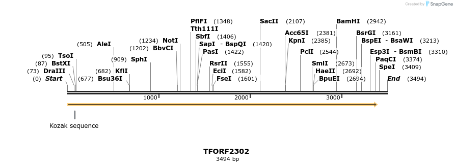 278191_map
