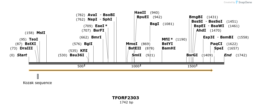 278194_map