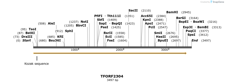 278197_map
