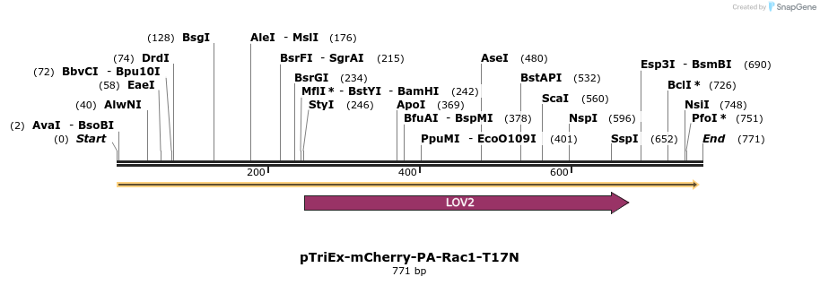 27820_map