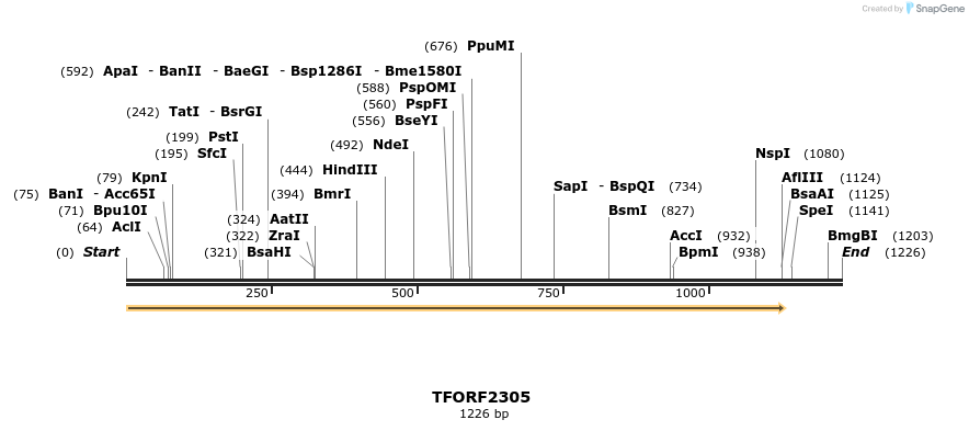 278200_map