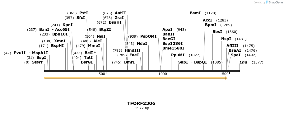 278203_map