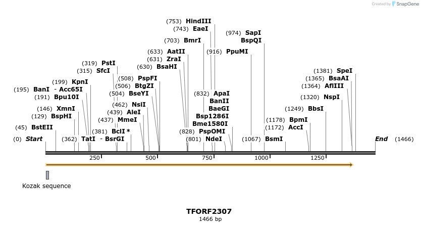 278206_map