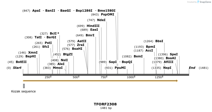 278209_map