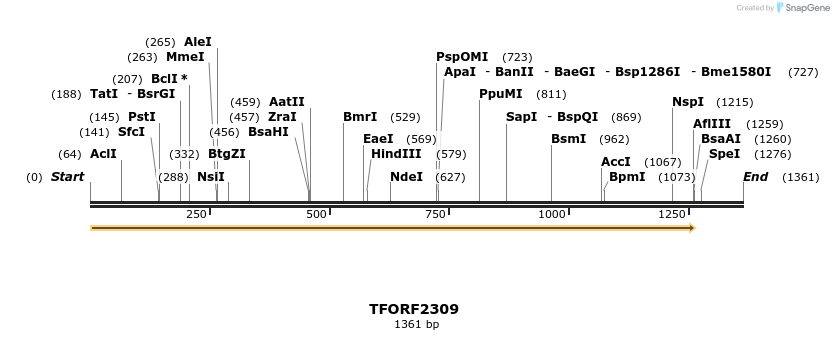 278212_map
