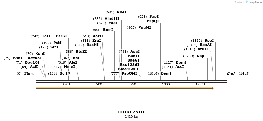 278215_map
