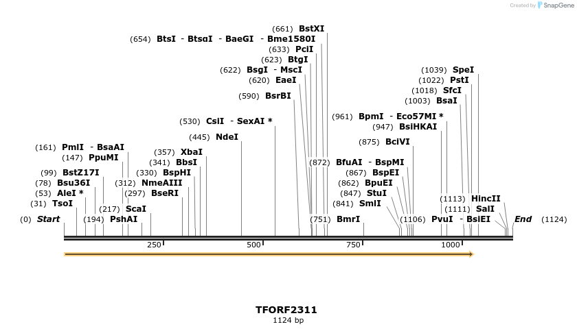 278218_map