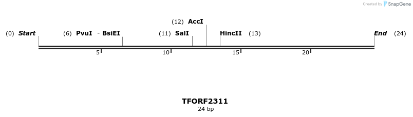 278219_map