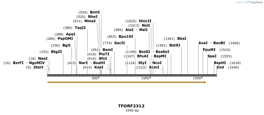 278221_map