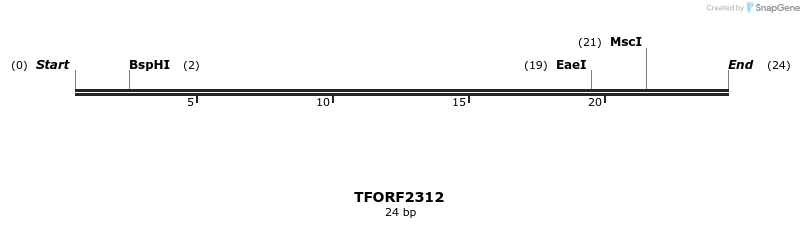 278222_map