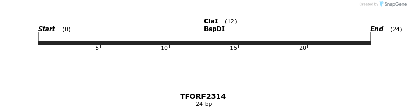 278225_map